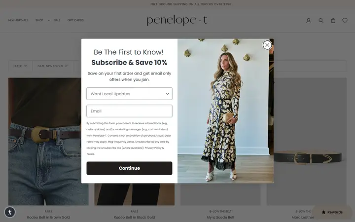 Website page titled BELTS – Penelope T