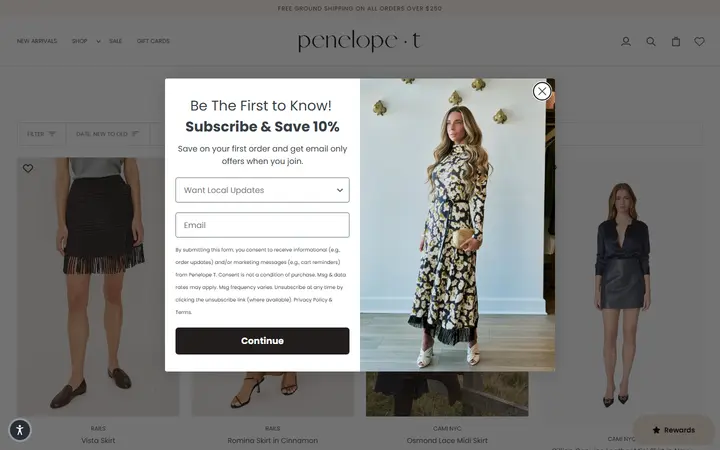 Website page titled SKIRTS – Penelope T