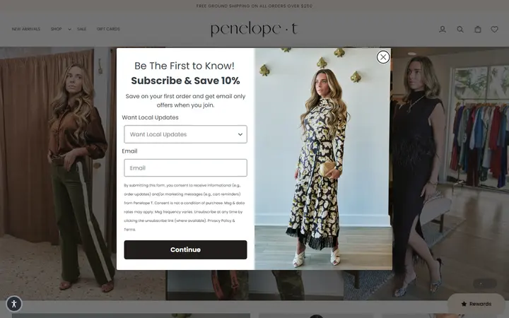 Preview of Penelope T website