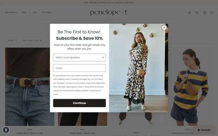 Website page titled ACCESSORIES – Penelope T