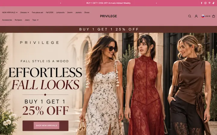 Preview of PRIVILEGE website