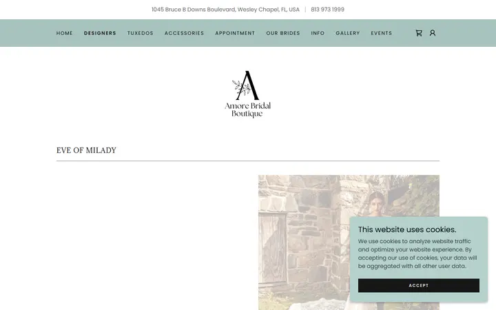 Website page titled Bridal Gowns, Dresses - Amore Bridal Boutique - New Tampa, Florida