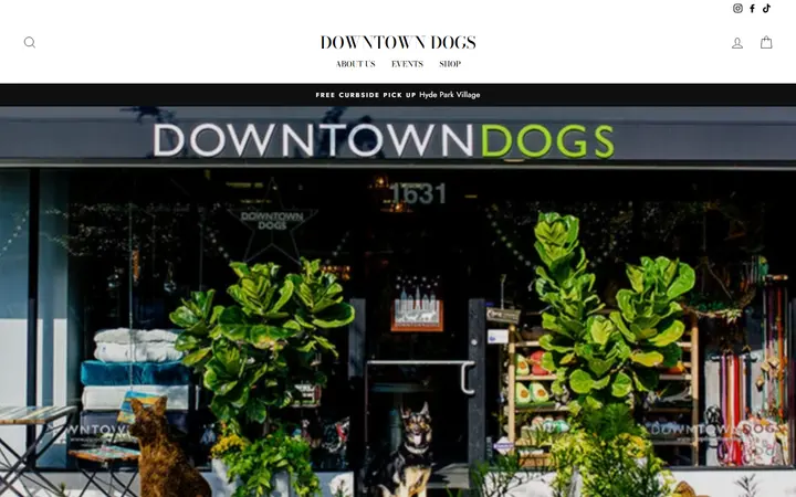 Preview of Downtown Dogs website