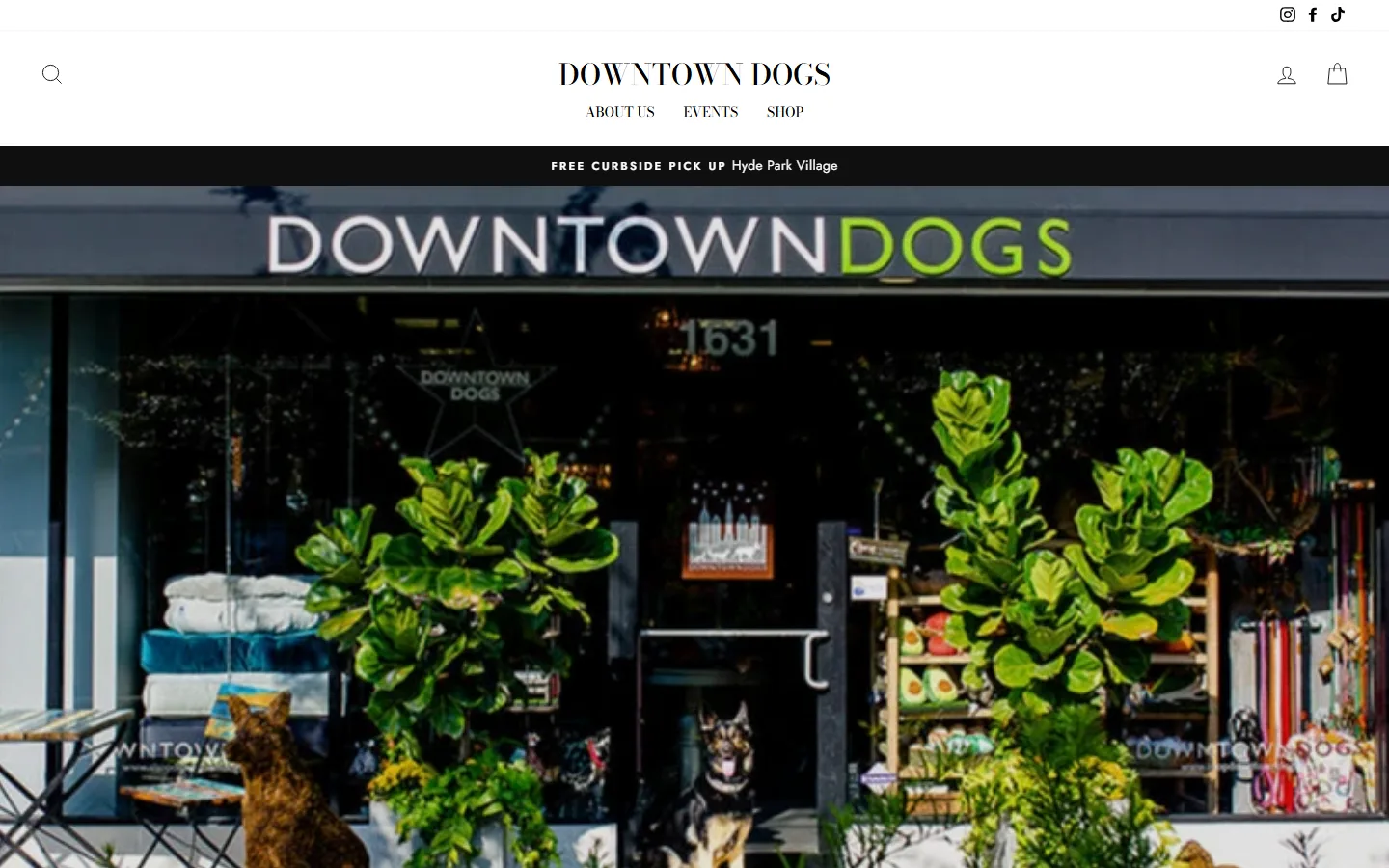 Viewport capture of Downtown Dogs website
