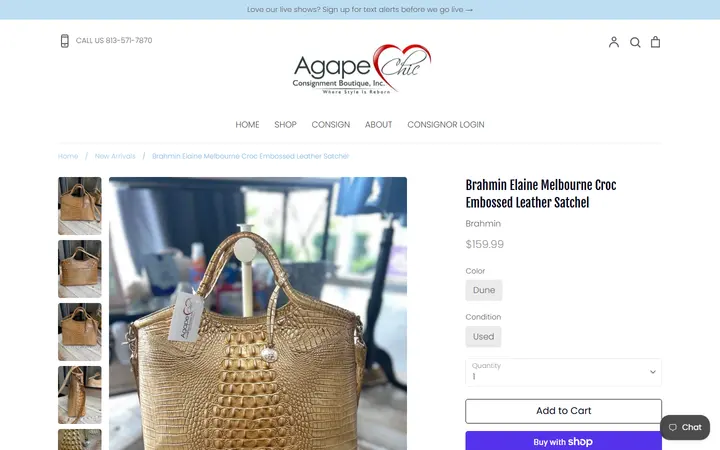 Website page titled Brahmin Elaine Dune Melbourne Leather Satchel – Agape Chic Consignment Boutique