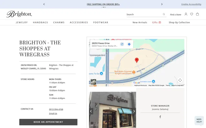 Preview of Brighton website